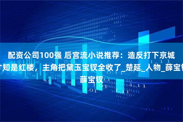 配资公司100强 后宫流小说推荐：造反打下京城才知是红楼，主角把黛玉宝钗全收了_楚延_人物_薛宝钗